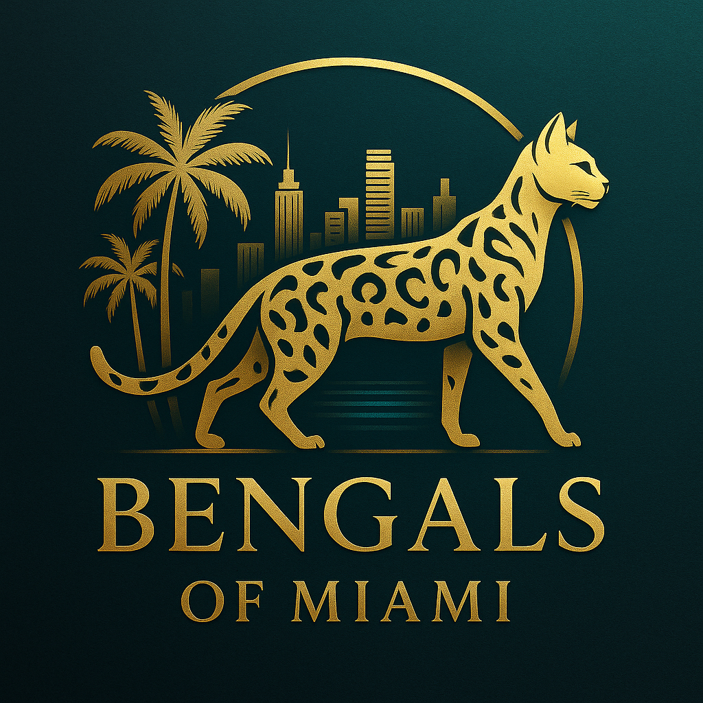 Bengals of Miami